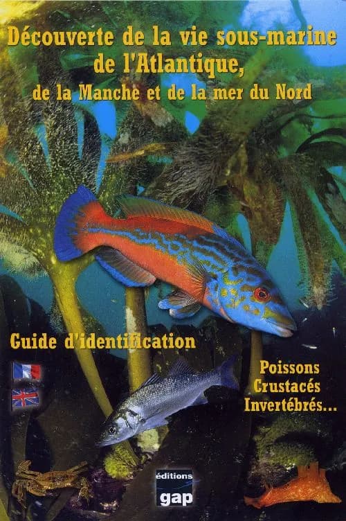 Découverte de la vie sous-marine de l'Atlantique, de la Manche et de la mer du Nord ; poissons, crustacés, invertébrés...; guide d'identification
