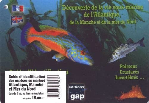 8 plaquettes immergeables découverte de la vie sous-marine de l'Atlantique, de la Manche et de la mer du Nord ; poissons, crustacés, invertébrés... ; guide d'identification