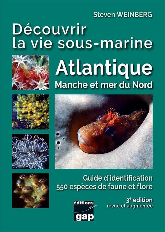 Découvrir la vie sous-marine : Atlantique, Manche et mer du Nord (3e éd. entièrement revue, mise à jour et augmentée) Steven Weinberg