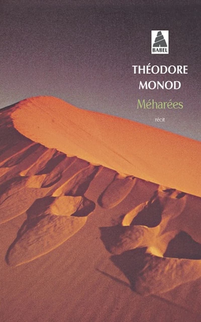 Méharées : explorations au vrai Sahara