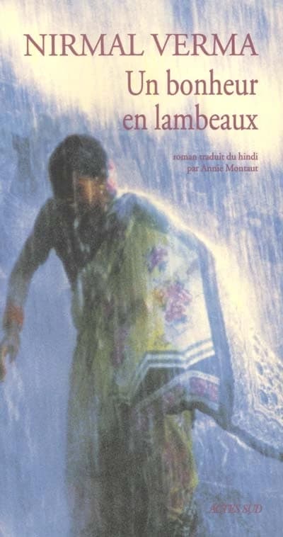 Un bonheur en lambeaux : roman