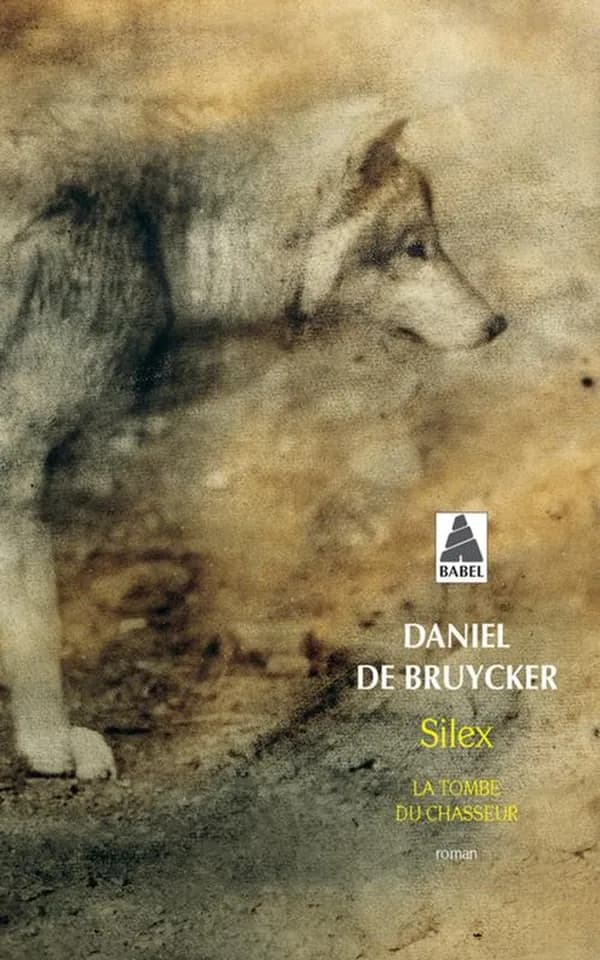 Silex : la tombe du chasseur : roman