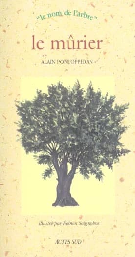 Le mûrier
