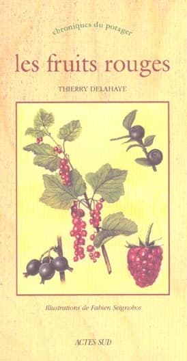 Les fruits rouges