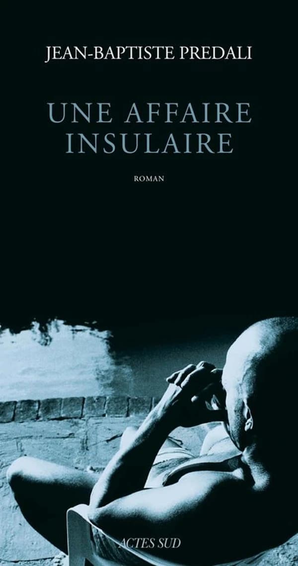 Une affaire insulaire : roman