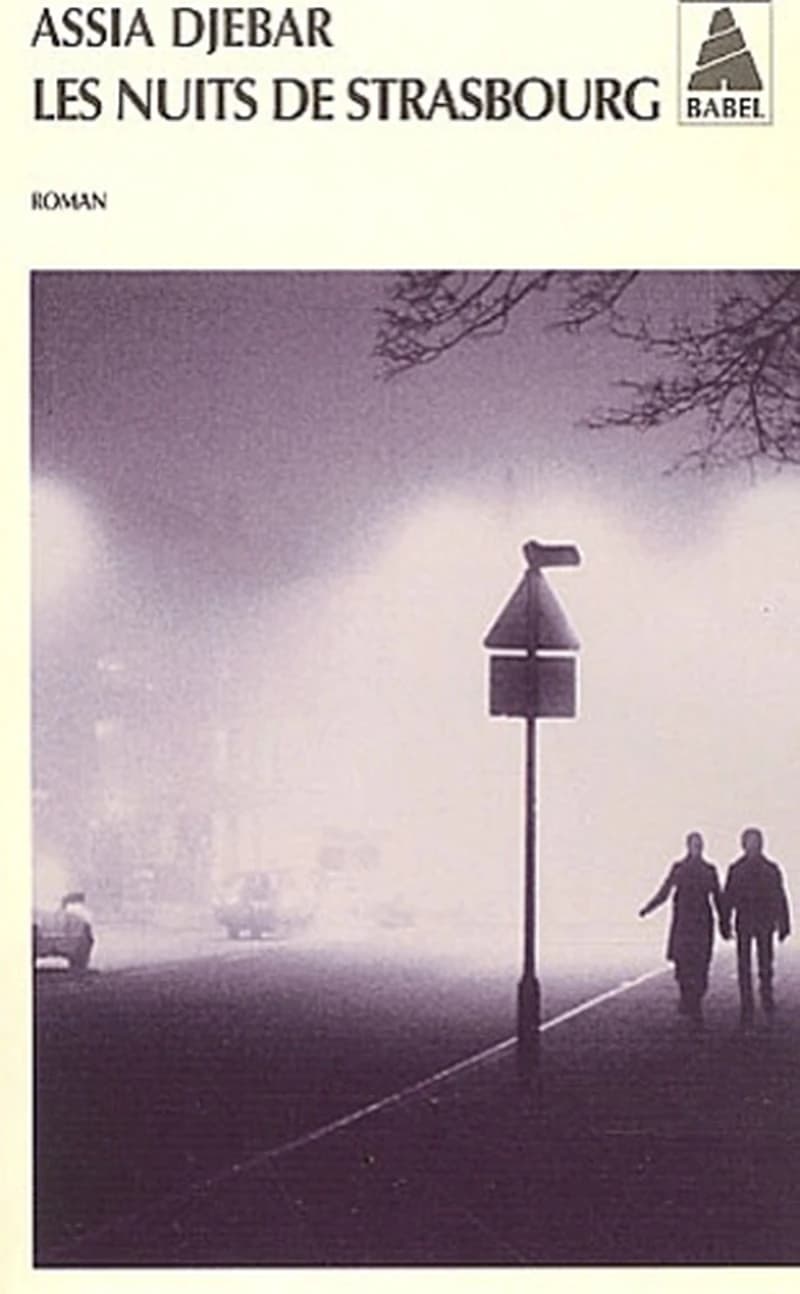 Les nuits de Strasbourg : roman