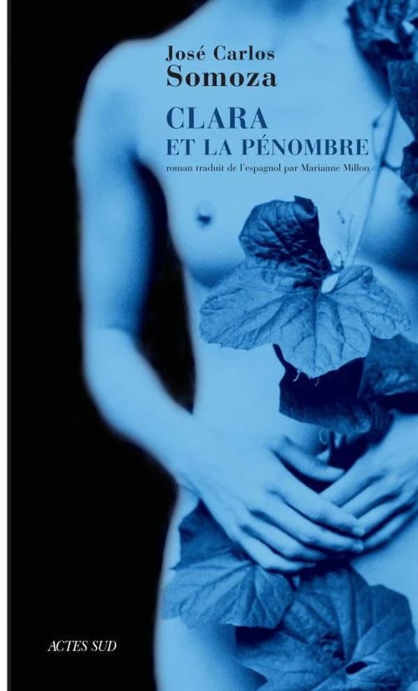 Clara et la pénombre : roman