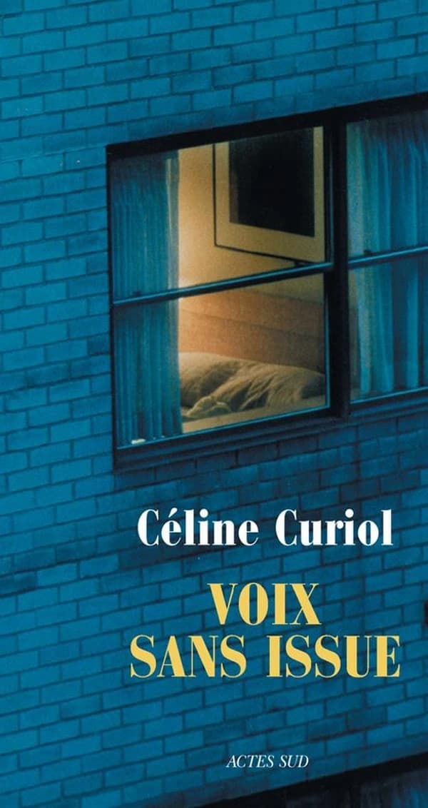 Voix sans issue : roman