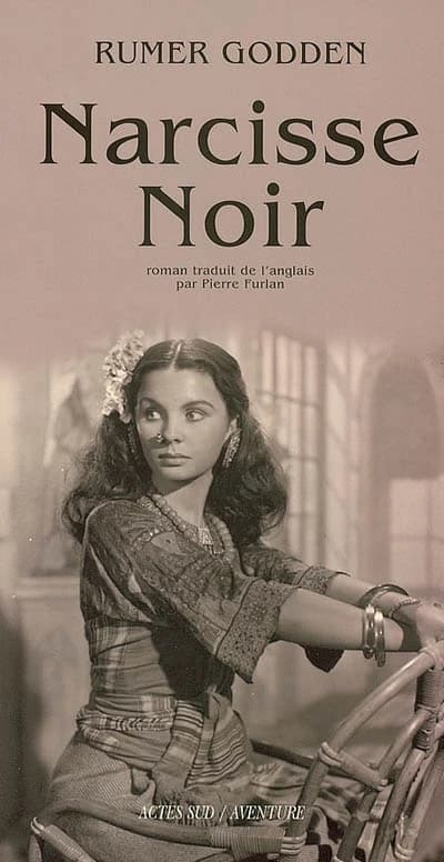 Le Narcisse noir : roman