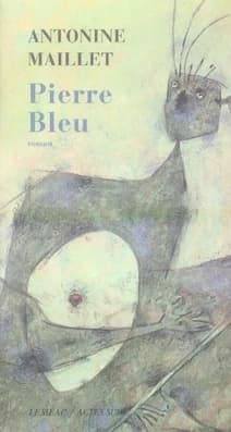 Pierre Bleu : roman