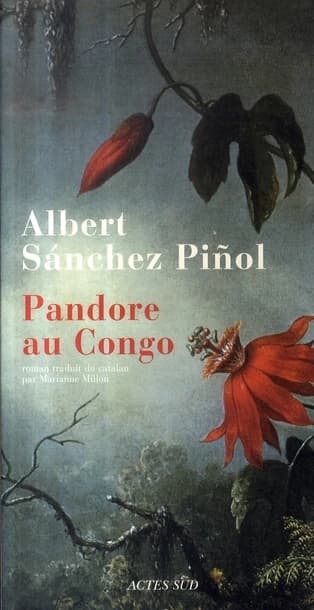 Pandore au Congo : roman