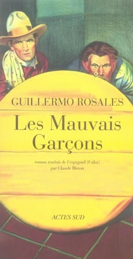 Les mauvais garçons : roman