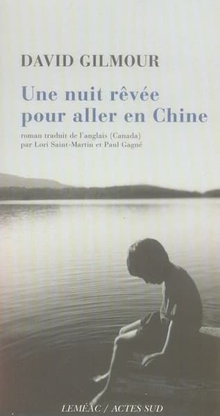 Une nuit rêvée pour aller en Chine : roman