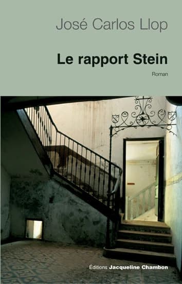 Le rapport Stein : roman
