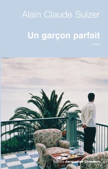 Un garçon parfait : roman
