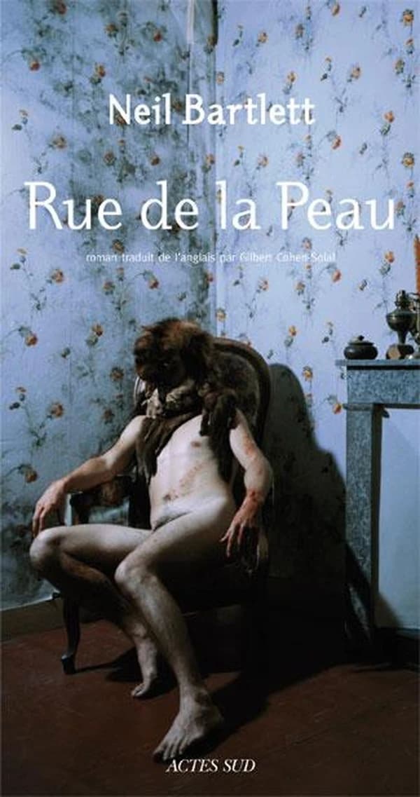 Rue de la Peau : roman