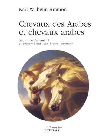 Chevaux des arabes et chevaux arabes
