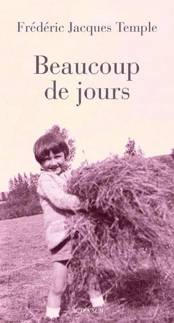 Beaucoup de jours : faux journal