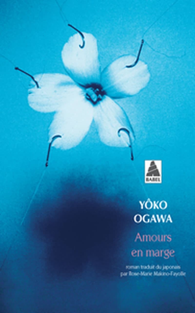 Amours en marge : roman