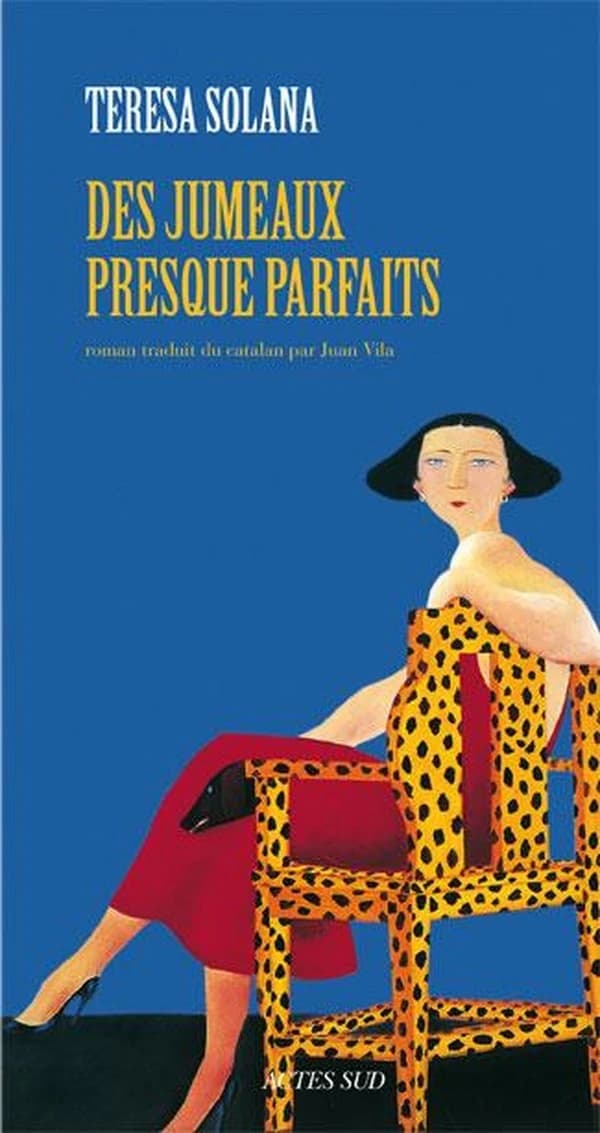 Des jumeaux presque parfaits : roman