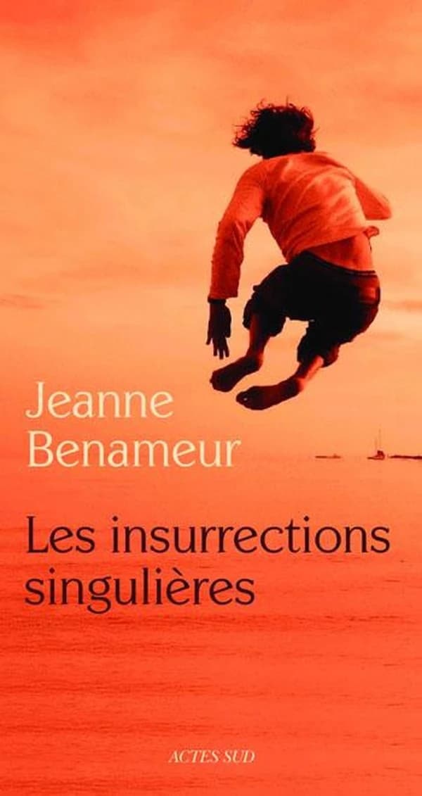 Les insurrections singulières : roman