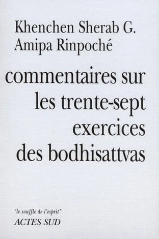Commentaires sur Les trente-sept exercices des bodhisattvas de Thogmet Zangpo