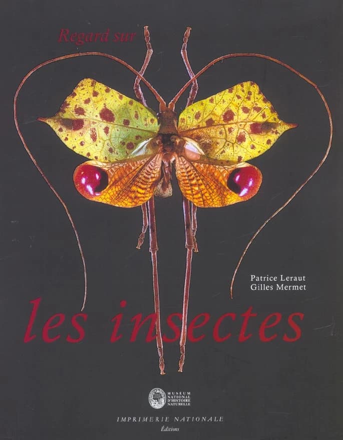 Regard sur les insectes : collections d'entomologie du Muséum national d'histoire naturelle