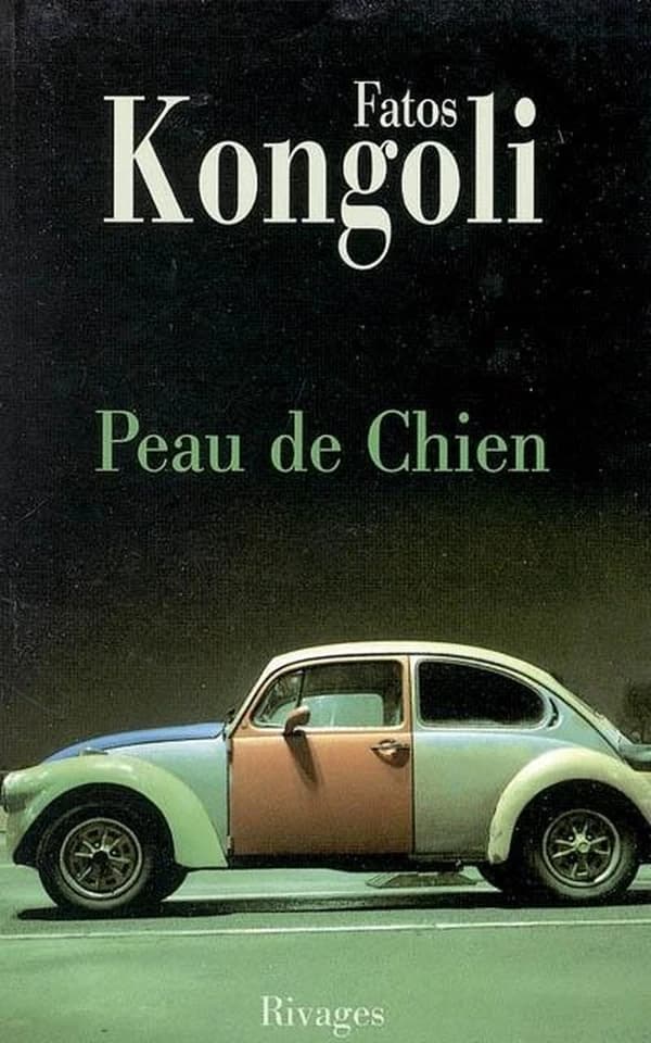 Peau de chien : roman