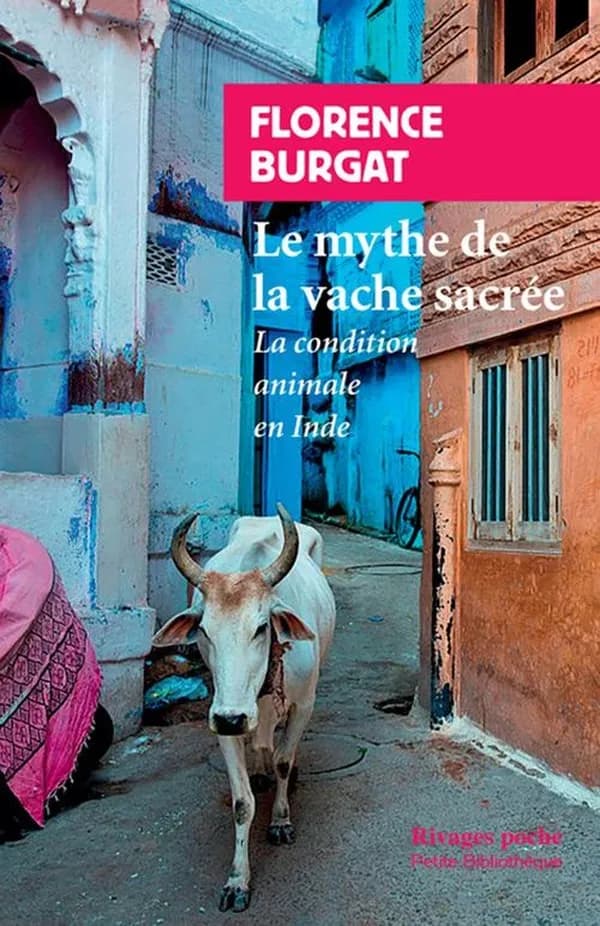 Le mythe de la vache sacrée : la condition animale en Inde ([Nouvelle éd. revue et actualisée]) Florence Burgat