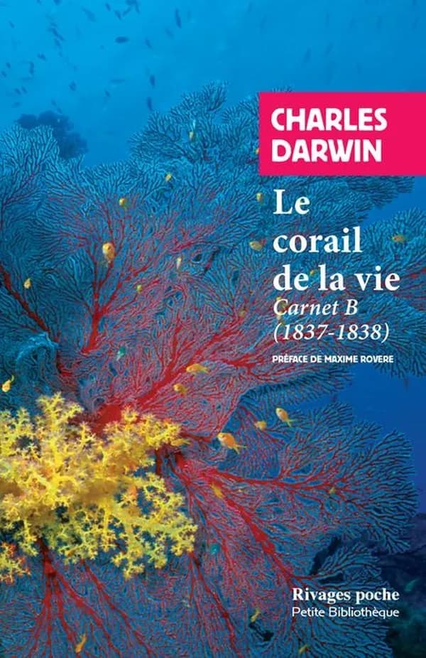 Le corail de la vie : carnet B, 1837-1838