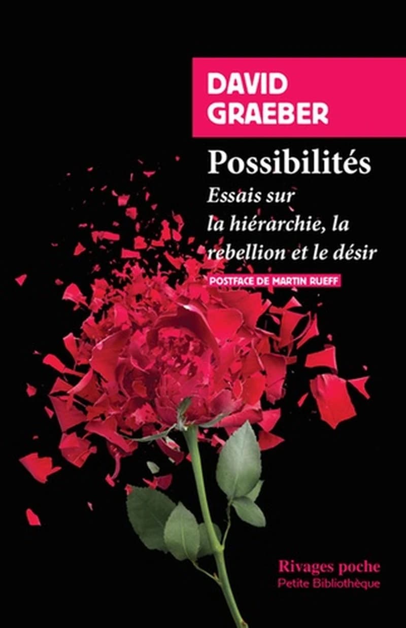 Possibilités : Essais sur la hiérarchie, la rébellion et le désir