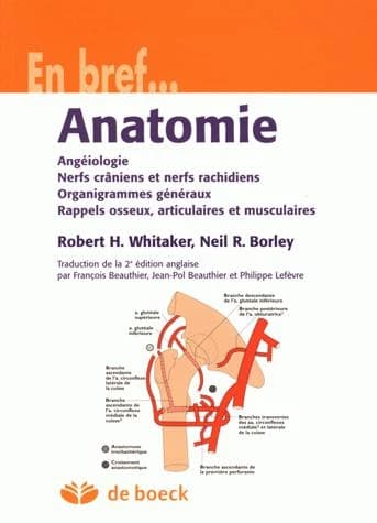 Anatomie : angéiologie, nerfs crâniens et nerfs rachidiens, organigrammes généraux, rappels osseux, articulaires et musculaires