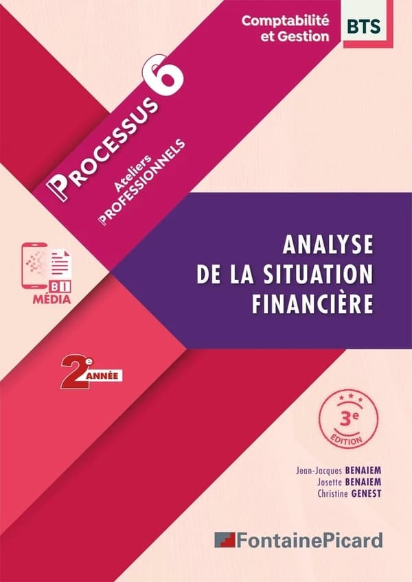 Processus 6 : Analyse de la situation financière ; BTS Comptabilité et gestion, 2e année