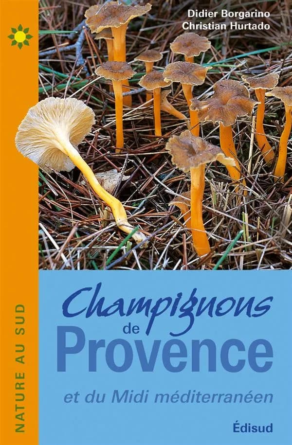 Champignons de Provence et du Midi méditerranéen