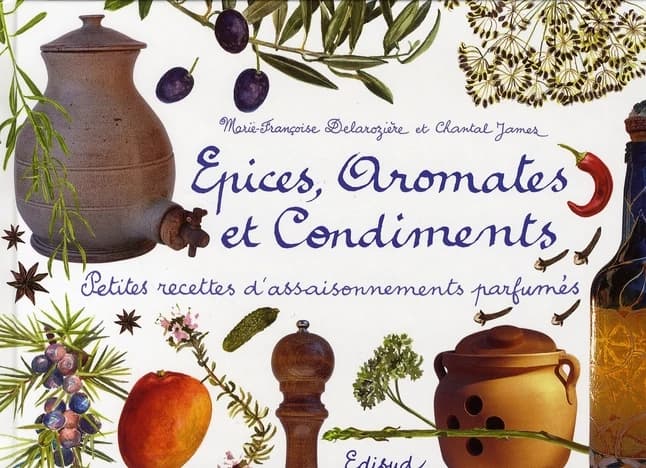 Épices, aromates et condiments : petites recettes d'assaisonnements parfumés : petites recettes d'assaisonnements parfumés
