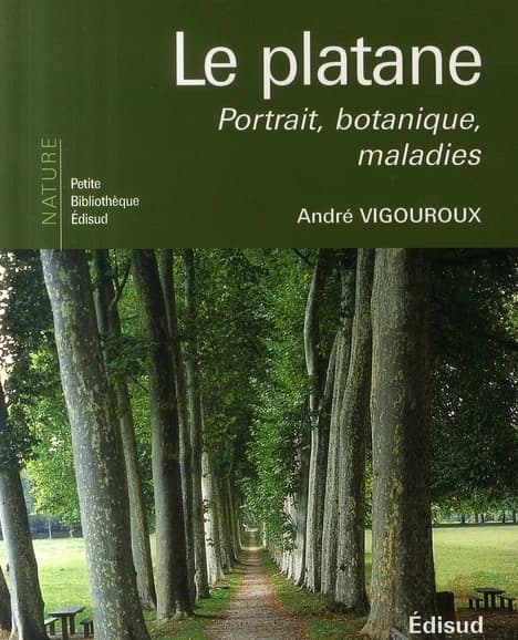 Le platane : portrait, botanique, maladies