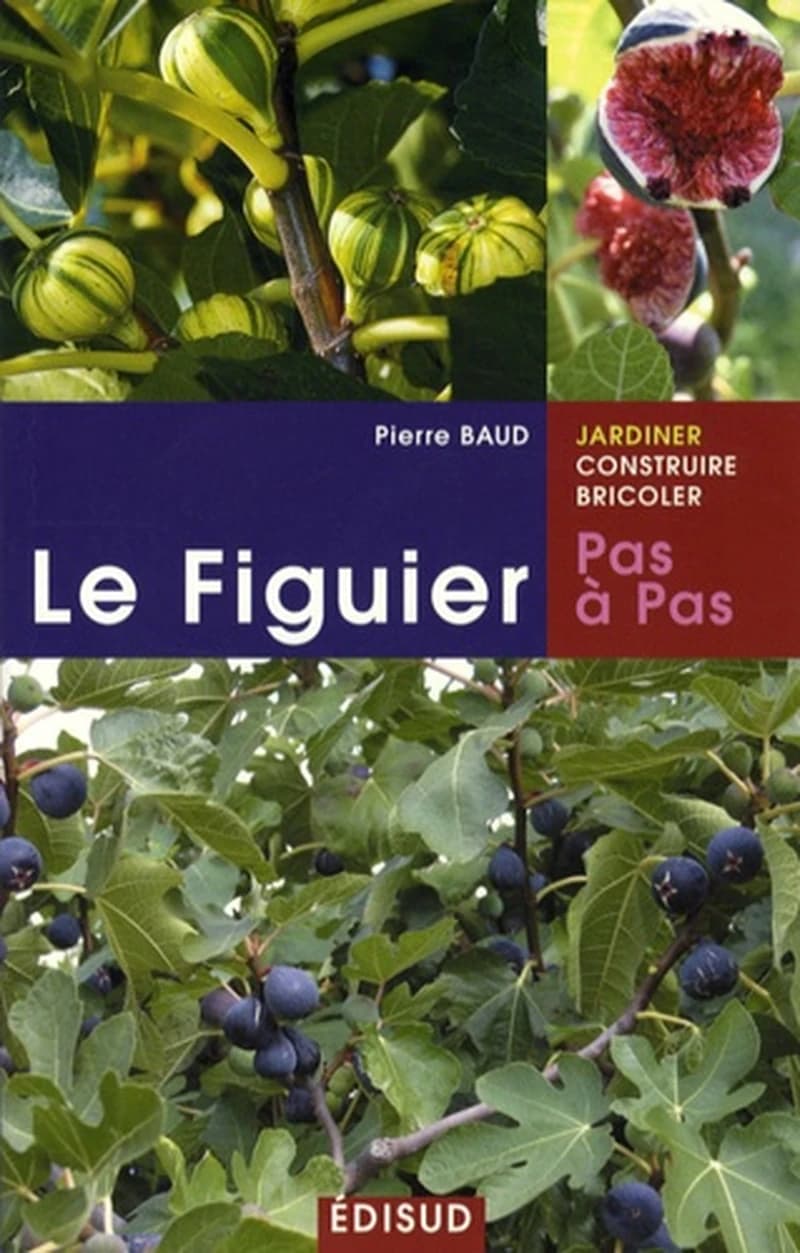 LE FIGUIER - PAS À PAS. PIERRE BAUD