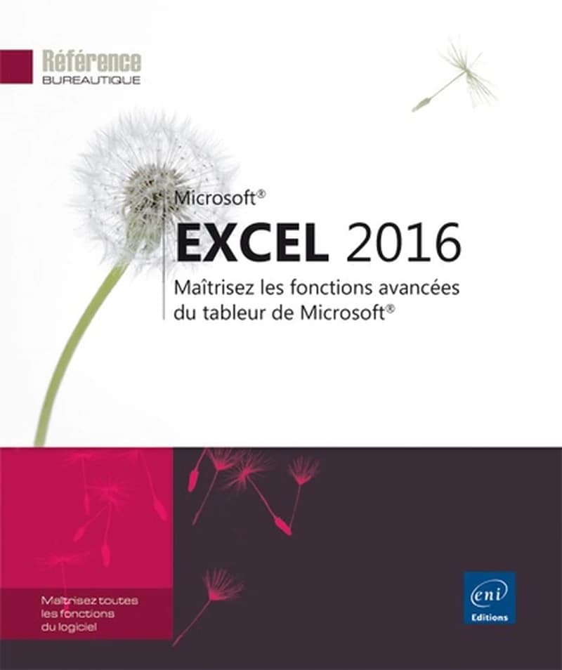 Excel 2016 : maîtrisez les fonctions avancées du tableur de Microsoft