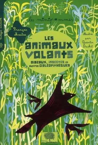 Les animaux volants : oiseaux, insectes et autres galéopithèques