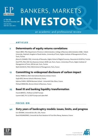 DETERMINANTS OF EQUITY RETURNS CORRELATIONS