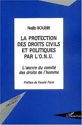 La protection des droits civils et politiques par l'ONU : l'oeuvre du Comité des droits de l'homme