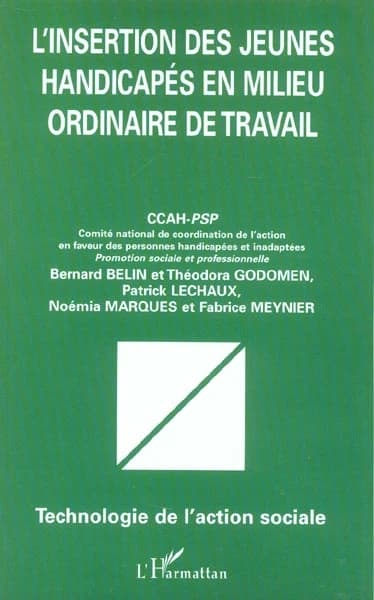 L'insertion des jeunes handicapés en milieu ordinaire de travail