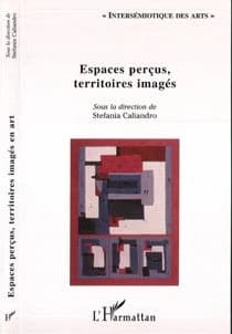 Espaces perçus, territoires imagés en art