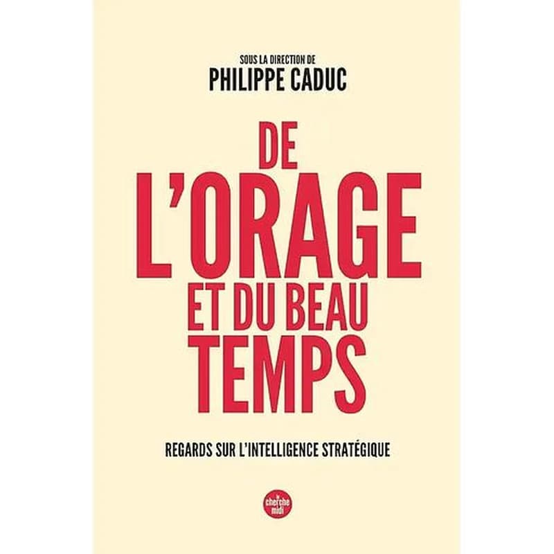 De l'orage et du beau temps : Regards sur l'intelligence stratégique