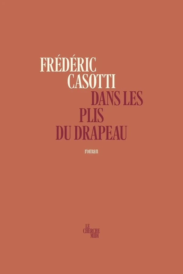 Dans les plis du drapeau : roman