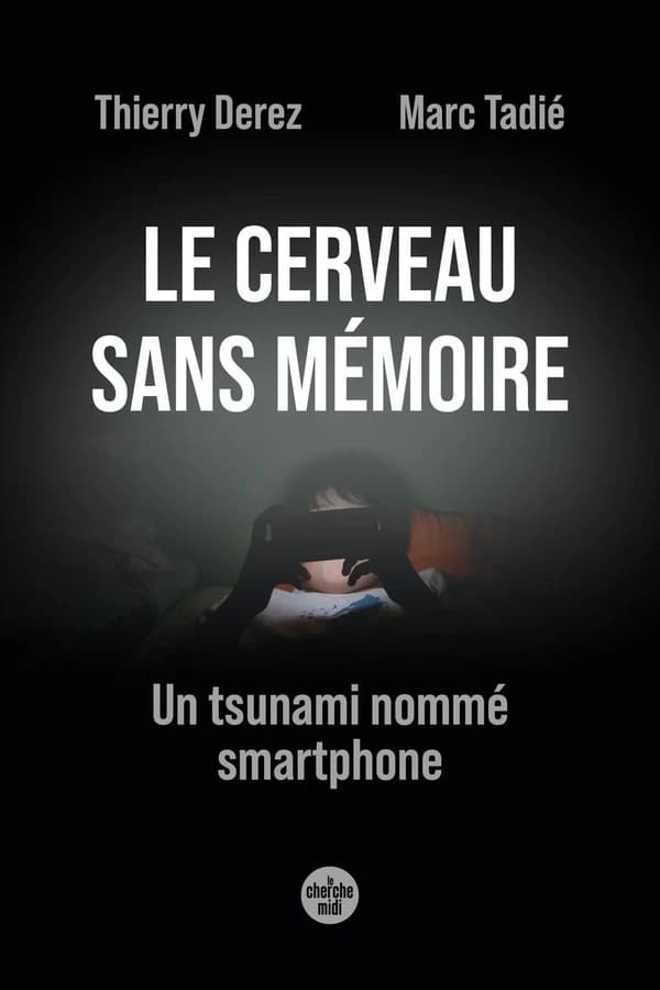 Le cerveau sans mémoire : un tsunami nommé smartphone