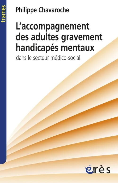 L'accompagnement des adultes gravement handicapés mentaux : dans le secteur médico-social