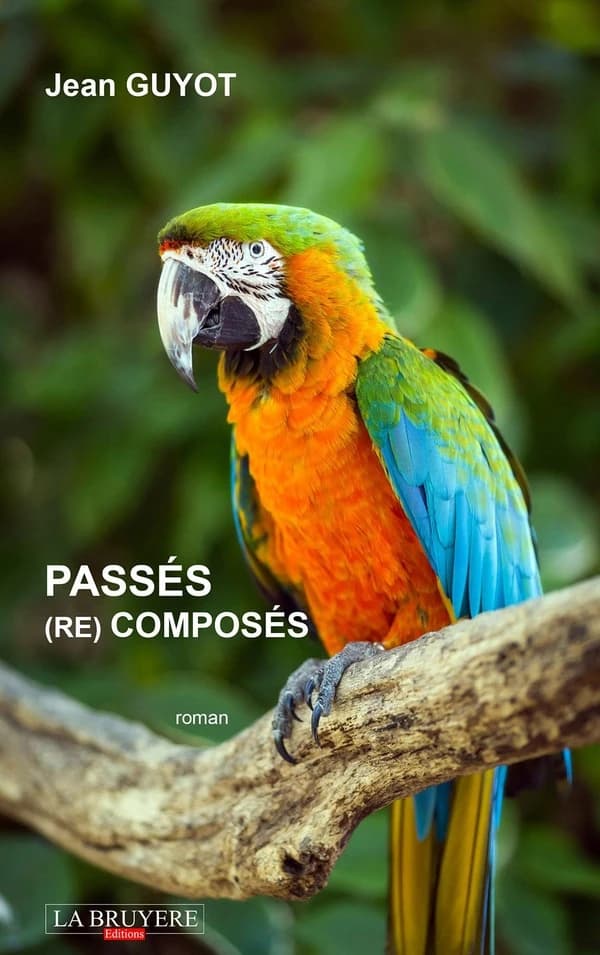 Passés (re)composés : roman