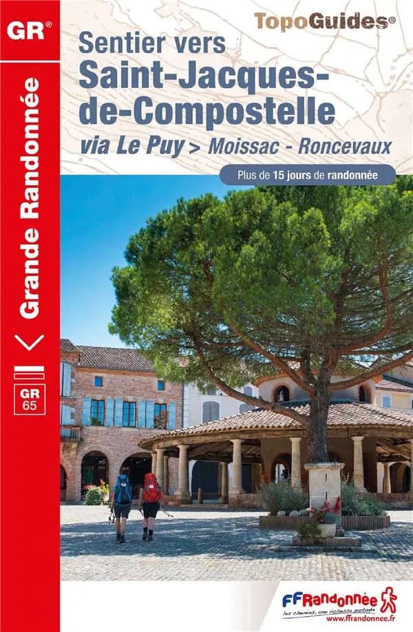 Sentier vers Saint-Jacques-de-Compostelle : via Le Puy > Moissac - Roncevaux (9e édition) FFRandonnée ; [cartographie IGN]