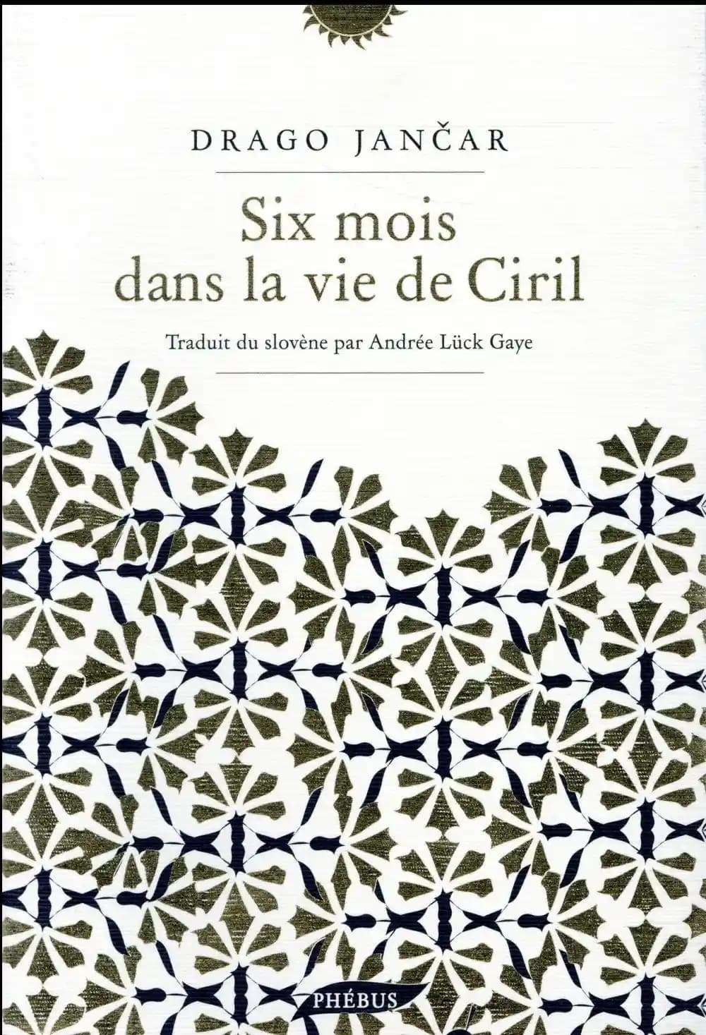 Six mois dans la vie de Ciril : roman